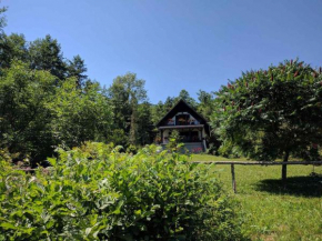 Holiday home in Turke/Gorski Kotar 35160